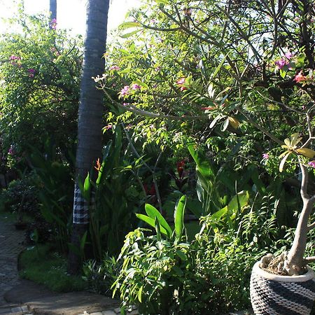 Отель Cleopatra Beach Bungalows Ловина Экстерьер фото